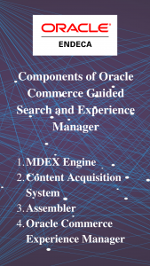 Oracle Endeca