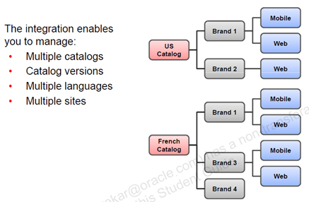 multi-catalog and multi-language integration