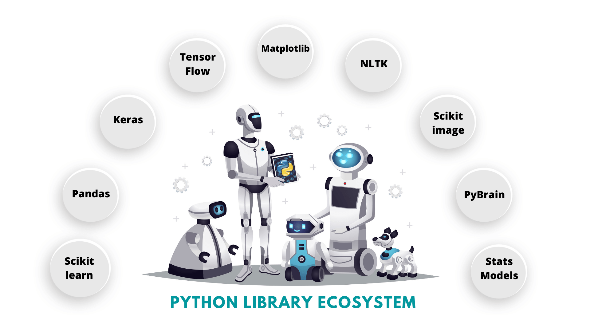 python library ecosystem