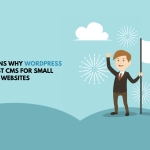 13 Reasons Why WordPress Is The Best CMS For Small Business Websites