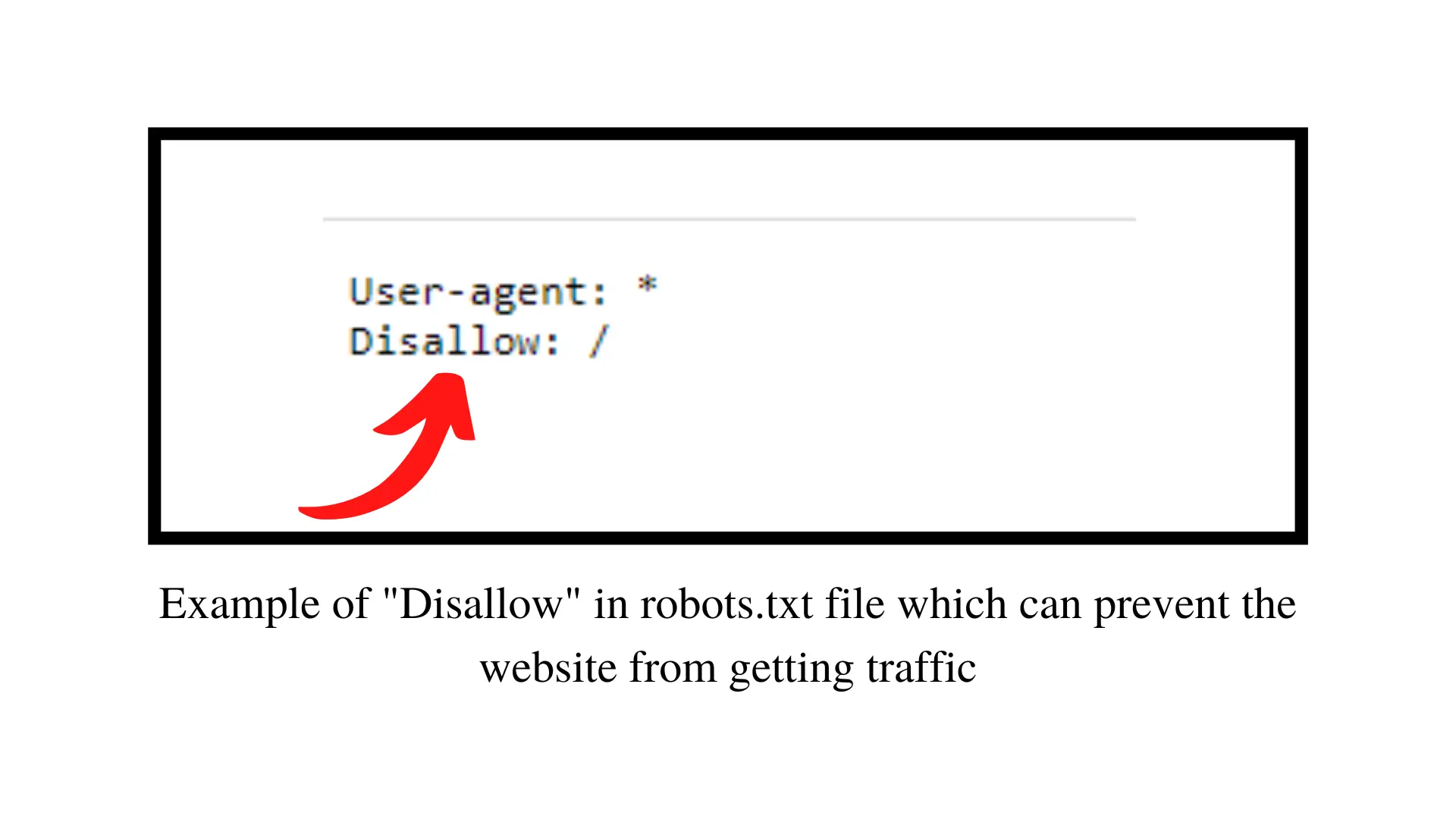 Disallow in robots