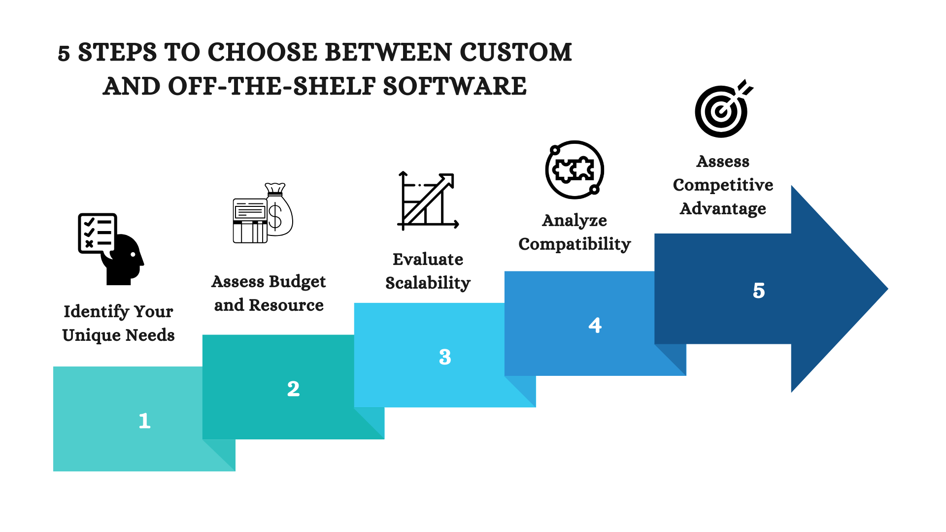 Choose between custom and off-the-shelf software