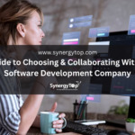 Guide to Choosing & Collaborating With A Software Development Company