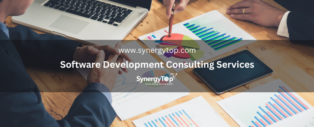 Software Development Consulting Services