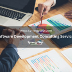 Software Development Consulting Services