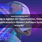What is Agentic AI? Risks, Perks, and Software Applications