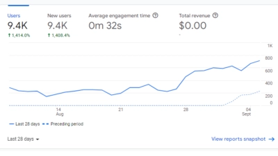 website traffic