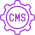 CMS Development Services